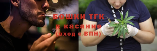 PSILOCYBIN Балабаново