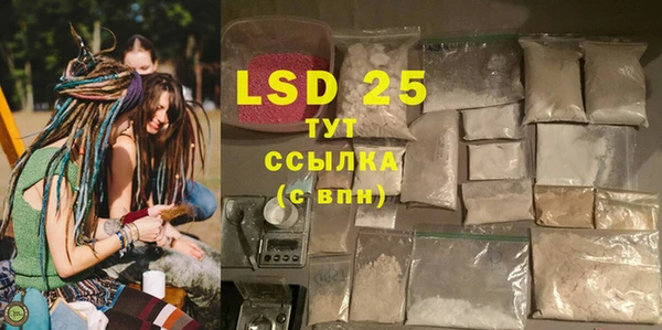 PSILOCYBIN Балабаново