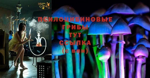 PSILOCYBIN Балабаново