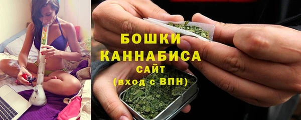 PSILOCYBIN Балабаново